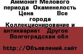 Аммонит Мелового периода. Окаменелость. › Цена ­ 2 800 - Все города Коллекционирование и антиквариат » Другое   . Волгоградская обл.